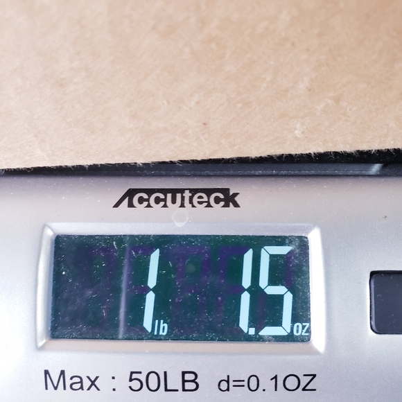 Manolo Blahnik Gold Strappy Heels - Picture 11 of 11